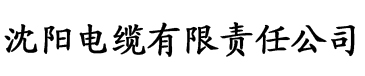 黄色视频免费永久欢看电缆厂logo